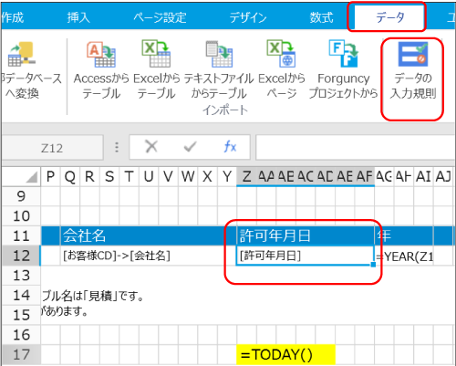 データの入力規則